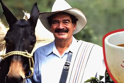 Man with a mule loaded with bags of coffee, representative of the fictional character Juan Valdez of the famous Colombian coffee brand