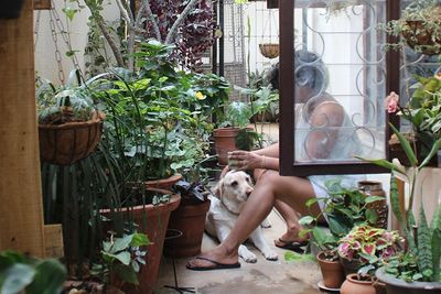 Girl sitting in a room surrounded by houseplants and a labrador dog